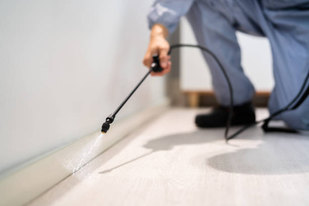 Bed Bug Pre-Treatment Preparation Assessment in Manorhaven