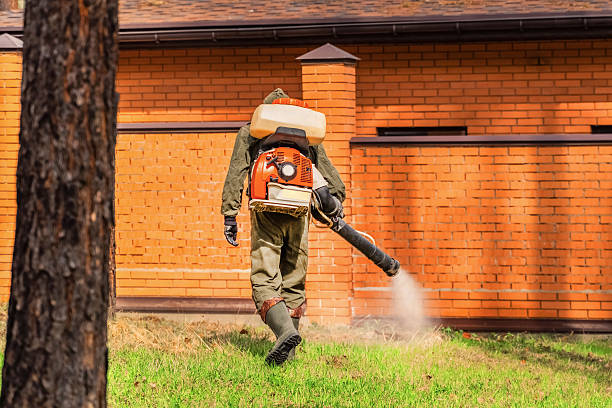 Bed Bug Clearance Verification and Documentation in Manorhaven
